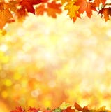 Autumn background royalty free stock photo Autumn background royalty free stock photo