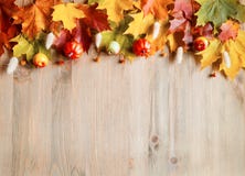 Autumn background. Seasonal autumn nature berries, pumpkins, apples and flowers on the wooden background stock photography Autumn background. Seasonal autumn nature berries, pumpkins, apples and flowers on the wooden background stock photography