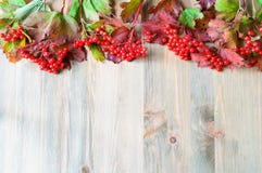 Thanksgiving day autumn background with seasonal autumn nature berries, pumpkins, apples and flowers royalty free stock photo Thanksgiving day autumn background with seasonal autumn nature berries, pumpkins, apples and flowers royalty free stock photo