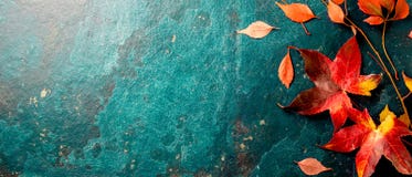 Autumn Background With Colored Red Leaves On Blue Slate Background. Top View, Copy Space Royalty Free Stock Image Autumn Background With Colored Red Leaves On Blue Slate Background. Top View, Copy Space Royalty Free Stock Image