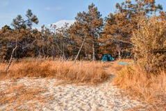 Autumn Black Sea kustlandskap royaltyfria foton Autumn Black Sea kustlandskap royaltyfria foton