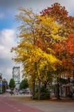 Autumn colors in a dutch town royalty free stock images Autumn colors in a dutch town royalty free stock images