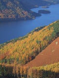 Autumn Colours By Thirlmere Stock Image Autumn Colours By Thirlmere Stock Image