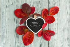 Autumn Composition Of Red Leaves, In The Middle Of This Heart-shaped Frame With The Inscription Hello Autumn.Wooden Grey Stock Images
