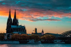 Autumn decline in Cologne royalty free stock image Autumn decline in Cologne royalty free stock image