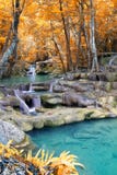 Autumn Deep Forest Waterfall Stock Images Autumn Deep Forest Waterfall Stock Images
