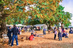 Autumn Fair During o fim de semana na ilha de Hornby imagens de stock Autumn Fair During o fim de semana na ilha de Hornby imagens de stock