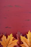 Autumn Fall Background Stock Photos Autumn Fall Background Stock Photos
