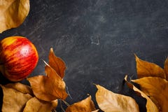 Autumn Fall Boarder Frame Dry Colorful Leaves Red Apple on Black Stone Background. Text ready Copy Space. stock image Autumn Fall Boarder Frame Dry Colorful Leaves Red Apple on Black Stone Background. Text ready Copy Space. stock image