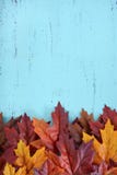 Autumn Fall Rustic Wood Background. Stock Photo Autumn Fall Rustic Wood Background. Stock Photo