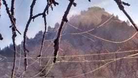 Autumn fog High Desert frosty morning royalty free stock images Autumn fog High Desert frosty morning royalty free stock images