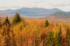 Autumn Forest And Mountains Royalty Free Stock Images Autumn Forest And Mountains Royalty Free Stock Images