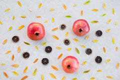 Autumn fruits and colorful ashberry tree leaves royalty free stock image Autumn fruits and colorful ashberry tree leaves royalty free stock image