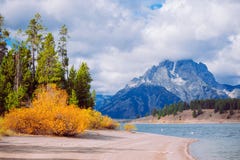 Autumn Grand Teton National Park stockbild Autumn Grand Teton National Park stockbild