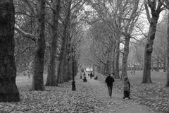Autumn in Green park in London royalty free stock photos Autumn in Green park in London royalty free stock photos