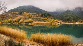 Autumn landscape with green waters of lake Tsivlos, Peloponnese, Greece royalty free stock image Autumn landscape with green waters of lake Tsivlos, Peloponnese, Greece royalty free stock image