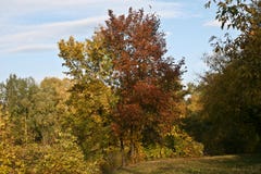 Autumn landscape near the railway. Autumn landscape near the railway - a beautiful screensaver Stock Photo Autumn landscape near the railway. Autumn landscape near the railway - a beautiful screensaver Stock Photo