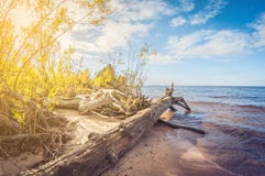 Autumn Landscape smagliature sulla riva sabbiosa del lago fotografia stock libera da diritti Autumn Landscape smagliature sulla riva sabbiosa del lago fotografia stock libera da diritti