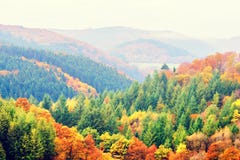 Autumn Landscape With Colorful Fall Trees. Fall Nature Background Stock Photography