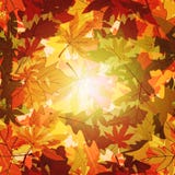 Autumn Leaf Background abstrait illustration stock Autumn Leaf Background abstrait illustration stock