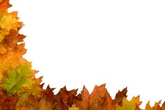 Autumn leaf border