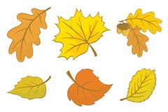 Autumn Leaves Stock Photos Autumn Leaves Stock Photos