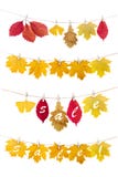Autumn Leaves ilustração do vetor Autumn Leaves ilustração do vetor