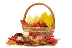 Autumn Leaves And Fruits Royalty Free Stock Image