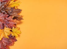 Autumn Leaves On Modern Trend Orange Background Stock Photo