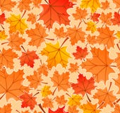 Colorful Autumn Border Made From Leaves. EPS 8 Stock Vector ...