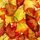 Autumn Leaves Watercolor Background Royalty Free Stock Images