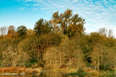 Autumn Morning with Fall Colors and Blue Skies royalty free stock images Autumn Morning with Fall Colors and Blue Skies royalty free stock images