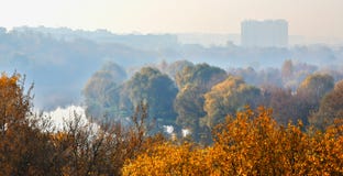 Autumn morning landscape with a tonal perspective royalty free stock image Autumn morning landscape with a tonal perspective royalty free stock image
