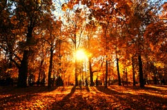 Autumn Nature Of Kolomenskoye Park In Moscow. Stock Images