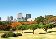 Autumn Park In Tokyo Stock Photography