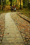 Autumn park. stock photos Autumn park. stock photos