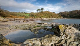 Autumn Polridmouth Cove, testa di Gribbin, Cornovaglia immagini stock Autumn Polridmouth Cove, testa di Gribbin, Cornovaglia immagini stock