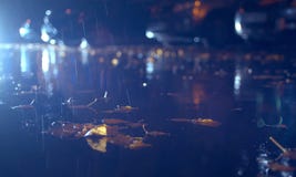 Autumn Rain In The Night City Stock Images Autumn Rain In The Night City Stock Images