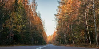 Autumn road colours.autumn landscape road, fallen leaves fall color stock images Autumn road colours.autumn landscape road, fallen leaves fall color stock images