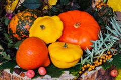 Autumn still life,Thanksgiving - harvest of different pumpkins, sea buckthorn, colorful leaves, vibrant background Stock Images Autumn still life,Thanksgiving - harvest of different pumpkins, sea buckthorn, colorful leaves, vibrant background Stock Images