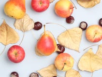 Autumn still life top view royalty free stock photos Autumn still life top view royalty free stock photos