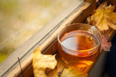 Autumn Tea Imagen de archivo libre de regalías Autumn Tea Imagen de archivo libre de regalías