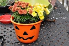 Autumn Themed Pot com florescência flores amarelas e alaranjadas do crisântemo fotos de stock royalty free Autumn Themed Pot com florescência flores amarelas e alaranjadas do crisântemo fotos de stock royalty free