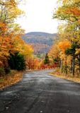 Autumn Time Royalty Free Stock Photos Autumn Time Royalty Free Stock Photos