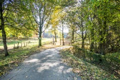 Autumn time of the year has arrived Stock Photo Autumn time of the year has arrived Stock Photo