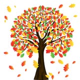 Autumn tree for your design Royalty Free Stock Photos Autumn tree for your design Royalty Free Stock Photos