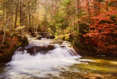 Autumn Waterfall Stock Photography