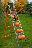 Autumn ladder of fruits of a harvest
