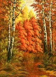Autumn Wood Landscape Royalty Free Stock Image Autumn Wood Landscape Royalty Free Stock Image