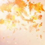 Autumnal foliage fall and poplar leaf flying in wind motion blur. EPS 10 vector illustration Autumnal foliage fall and poplar leaf flying in wind motion blur. EPS 10 vector illustration